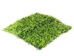 Umělý živý plot Hawaj Buxus | Stěna 100 x 100 cm Umělý živý plot Hawaj Buxus | Stěna 100 x 100 cm