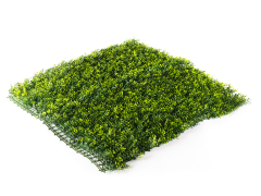 Umelý živý plot Hawaj Buxus High žltý | stena 100 x 100 cm