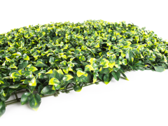 Umelý živý plot Hawaj Buxus High s kvetmi | stena 100 x 100 cm