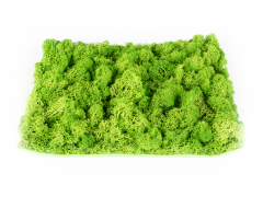 Umelý živý plot Hawaj Buxus High s kvetmi | stena 100 x 100 cm