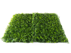 Umelý živý plot Hawaj Buxus High žltý | stena 100 x 100 cm