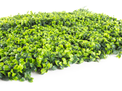 Umelý živý plot Hawaj Buxus High žltý | stena 100 x 100 cm