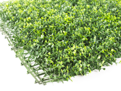 Umelý živý plot Hawaj Buxus High žltý | stena 100 x 100 cm