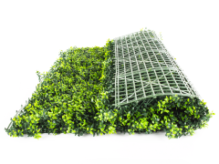 Umělý živý plot Hawaj Buxus s květy | Stěna 100 x 100 cm