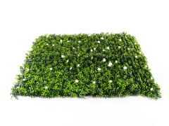 Umělý živý plot Hawaj Buxus | Stěna 100 x 100 cm