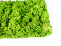 Umelý živý plot Gardenia 100 x 100 cm