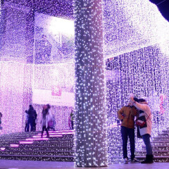 Vánoční LED světelný závěs 3 x 6 m 600 diod | studená bílá