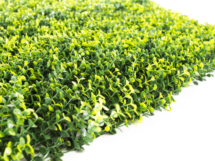 Umělý živý plot Hawaj Bobkovišeň žlutá | Stěna 100 x 100 cm Umelý živý plot Hawaj Buxus High žltý | stena 100 x 100 cm