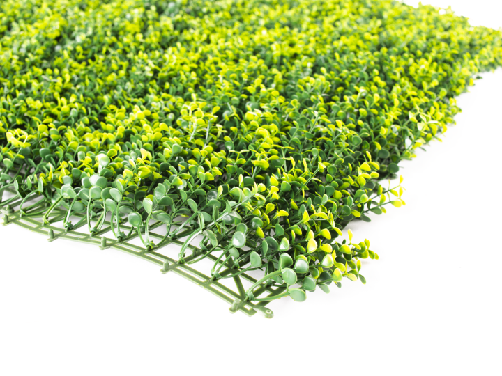 Umělý živý plot Hawaj Bobkovišeň žlutá | Stěna 100 x 100 cm Umelý živý plot Hawaj Buxus High žltý | stena 100 x 100 cm