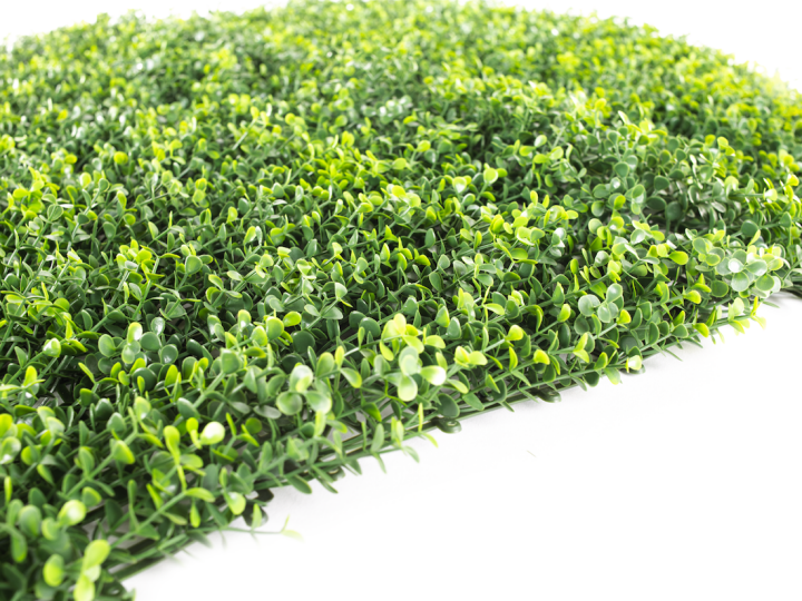 Umělý živý plot Hawaj Bobkovišeň žlutá | Stěna 100 x 100 cm Umelý živý plot Hawaj Buxus High zelený | stena 100 x 100 cm