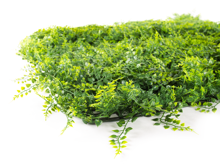 Umelý živý plot Hawaj Buxus High | stena 100 x 100 cm Umelý živý plot Hawaj Papraď| Stena 100 x 100 cm