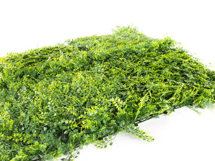 Umelý živý plot Hawaj Buxus High | stena 100 x 100 cm Umelý živý plot Hawaj Papraď| Stena 100 x 100 cm