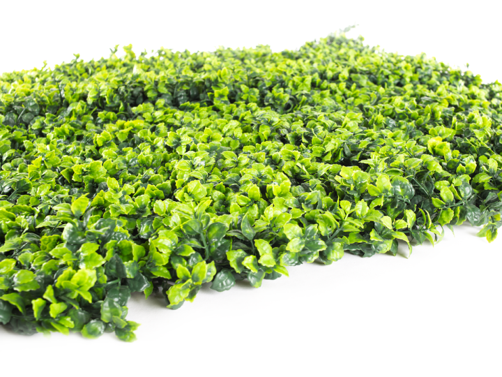 Umelý živý plot Hawaj Buxus High žltý | stena 100 x 100 cm Umelý živý plot Hawaj Buxus High | stena 100 x 100 cm